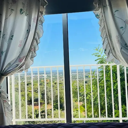 Flora Apartament