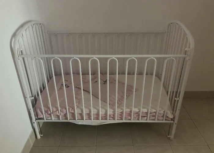 Flora * Санта-Барбара-де-Некс